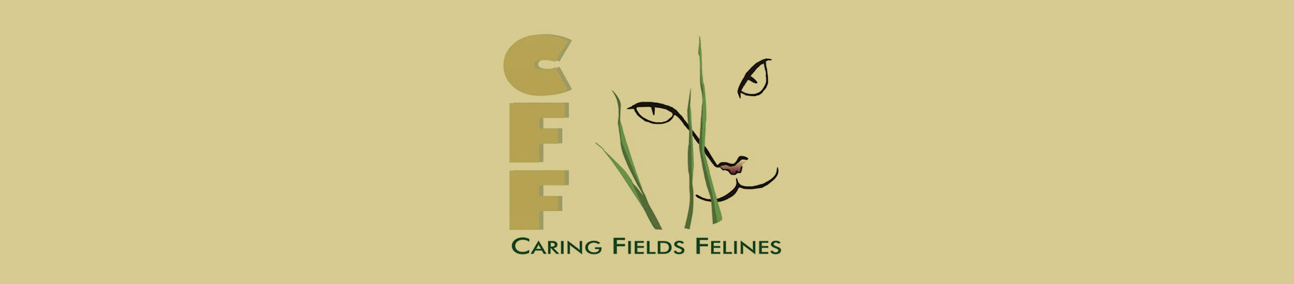Caring Fields Felines – Local Charity Spotlight