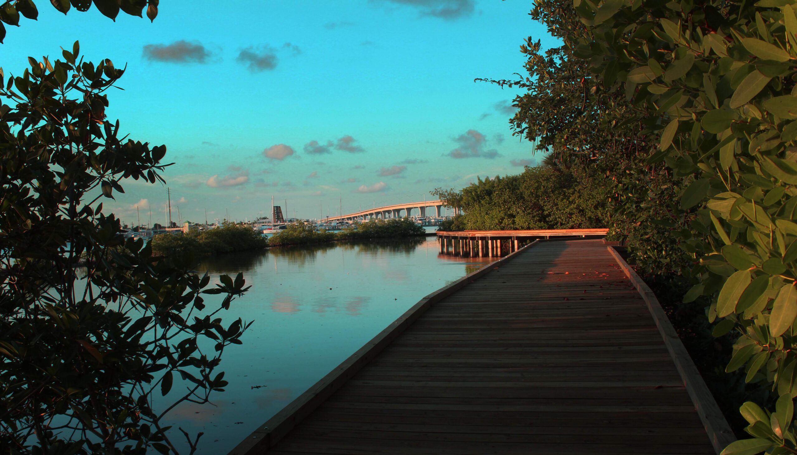 Martin County is Florida’s Best Kept Secret Beach Destination