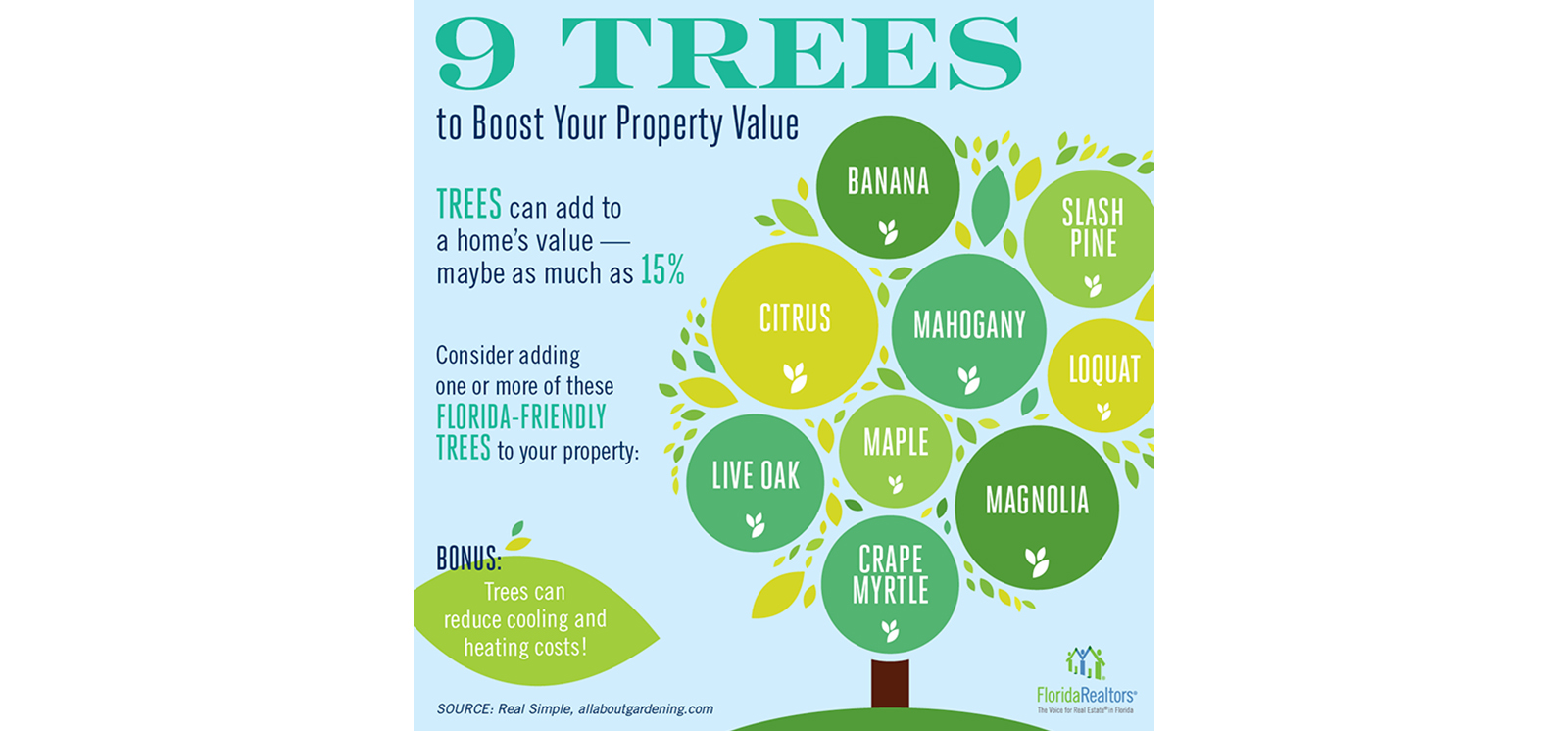 9 Florida-Friendly Trees to Boost Your Property Value